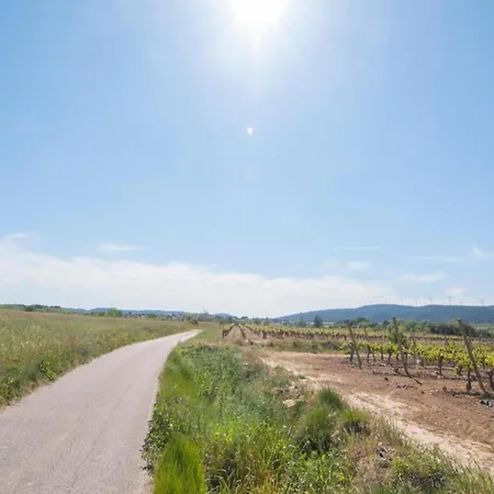 Nyaraló Stone On An Active Wine Growing Estate Conilhac-Corbières