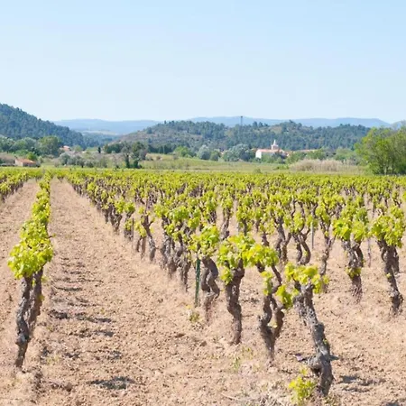 Nyaraló Stone On An Active Wine Growing Estate *